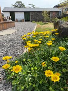 明月城stone wall house