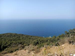 La maison des senteurs