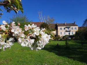 Villas Beautiful 18th Century Whole Manor House with Sole Use Private Pool : photos des chambres