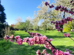 Beautiful 18th Century Whole Manor House with Sole Use Private Pool