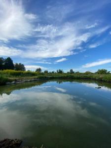 Будинок з лазнею та басейном Дві години бані у вартості