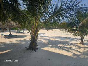 Ocean Bliss Beach Resort