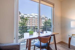 Modern Apt Downtown with Pool