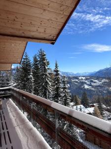 Chalet Occursus Anzère