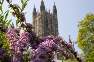 The Precincts, Canterbury, Kent, CT1 2EH, England.