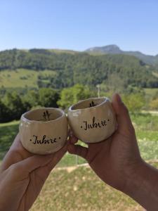 Cabana Cristalul din Apuseni