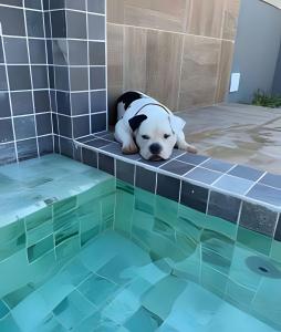 Casinha 1 | Com piscina a 100m da praia