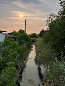 Maisons de vacances Gite en Medoc : photos des chambres