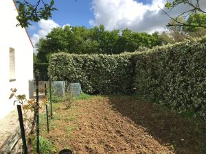Maisons de vacances Maison contemporaine au calme avec jardin arbore : photos des chambres