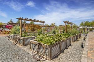 Best Western Plus Cedar City