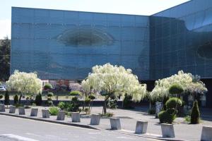 Appartements Dentelles et dragon : photos des chambres