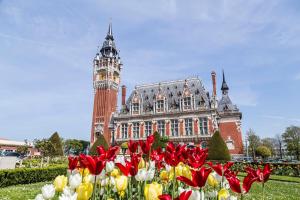 Appartements Dentelles et dragon : photos des chambres