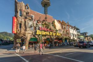 Buena Vista Getaway by American Patriot Getaways