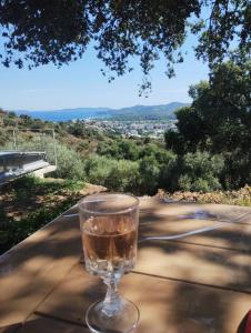 villa bormes les mimosas