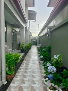 The Hydrangea House