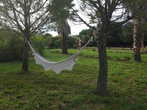 Maisons de vacances Mas de la tour de rey : photos des chambres