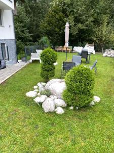 Mountain view in Bohinj 