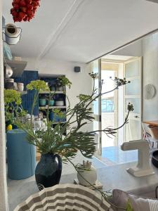 Belle Buon alla Corricella-Old soul, Stylish ethical charm