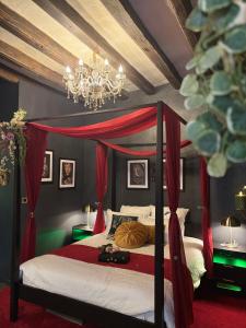 Appartements Cocon d-Amour - Old Tours : photos des chambres