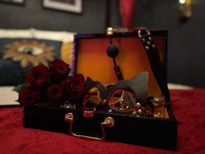 Appartements Cocon d-Amour - Old Tours : photos des chambres