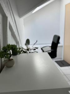 Appartements studio d-hote : Appartement 1 Chambre