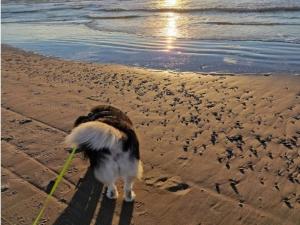 10 person holiday home in Saltum-By Traum