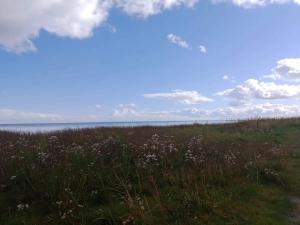 5 star holiday home in Hadsund-By Traum