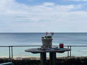 Seafari Stone Cottage - Georgian Bay