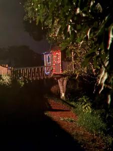 Luxury tree house at La meseta