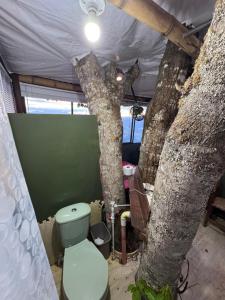 Luxury tree house at La meseta