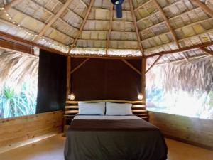 bungalows tropicaux Jardin exotique