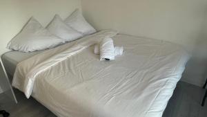 Appartements Studio-parking prive-terrasse : photos des chambres