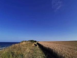 8 person holiday home in Store Fuglede-By Traum