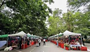 Ecopark Lushy Stay Garden in the Cloud