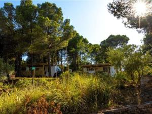 Campings Mobil-home a Lezignan-Corbieres avec terrasse pour 4 personnes - API-1-52-652 : photos des chambres