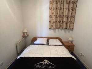 Appartements Appartement 4 pers. a Super Besse avec terrasse sud et garage - FR-1-814-97 : photos des chambres