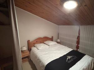 Appartements Appartement duplex 4 pers, centre station, garage prive - FR-1-814-82 : photos des chambres