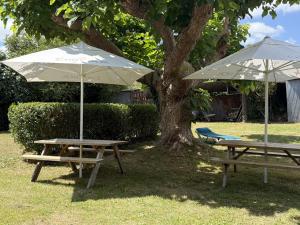 Maisons de vacances Grande maison villageoise avec jardin prive dans le Perigord - FR-1-839-8 : photos des chambres