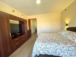 ApartHotel Cuatro Estaciones Frutillar Bajo