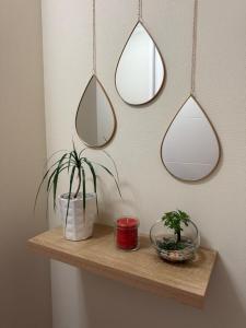 DPTO frente MALL-AEROPUERTO, CONCEPCION