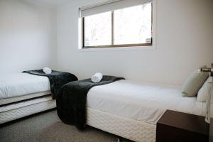 Kooringal - Your Home by the Ocean in Bicheno