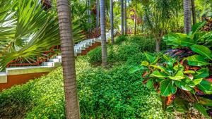 Apartments at Pajaro de fuego Sayulita