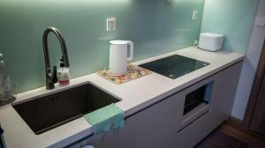 Professional studio - Large Desk - Lakeview Ecopark