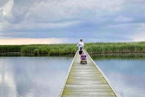 Sanctuary In Wooded Sejerø Bay Setting
