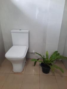 Budget Apartment Kandy