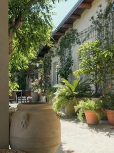 Panoramic Villa Among Vizzinis Cacti