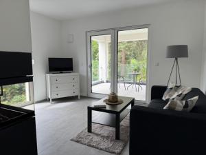 Living-Apartment-mit-Kamin-und-Terrasse