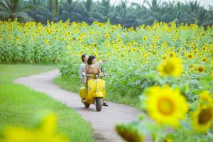 Ecopark Lushy Stay - Sunny Color