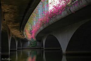 Ecopark Lushy Stay - Sunny Color