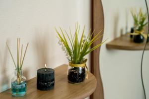 Le tilleul de LOURDES